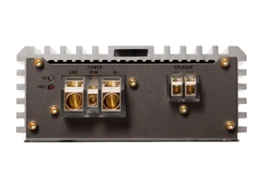 Amply 1 kênh DLS CCi500 Mono Amplifier