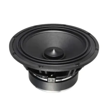 Loa Midrange ô tô Audiocircle Pro-M3P