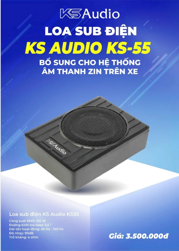 Loa Sub Điện KS Audio KS-55